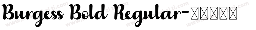 Burgess Bold Regular字体转换
